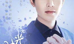 霸道总裁 电视剧,一场跨越身份的浪漫邂逅